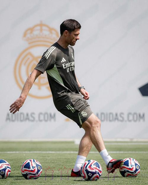 分析师:阿隆索在药厂有真正的边后卫 在皇马没有 分析师:阿隆索在药厂有真正的边后卫 在皇马没有